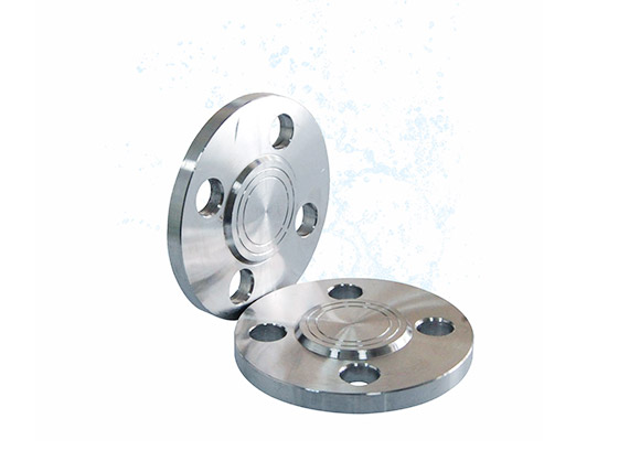 Stainless Steel Valve Flanges and Accessories 1